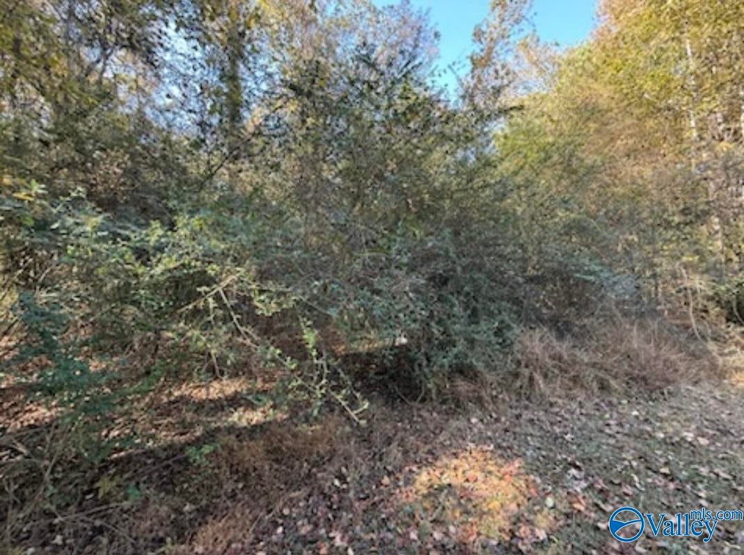 .3 acre lot Hine Street South