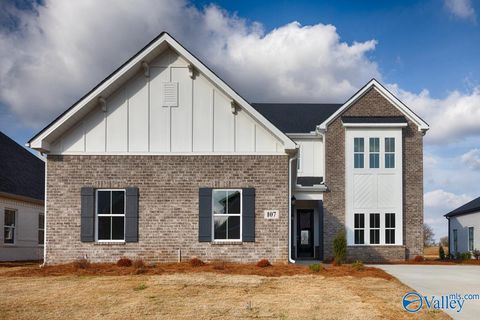 Homes For Sale - 107 Magnolia Hill Avenue<br/> Toney, AL 35773