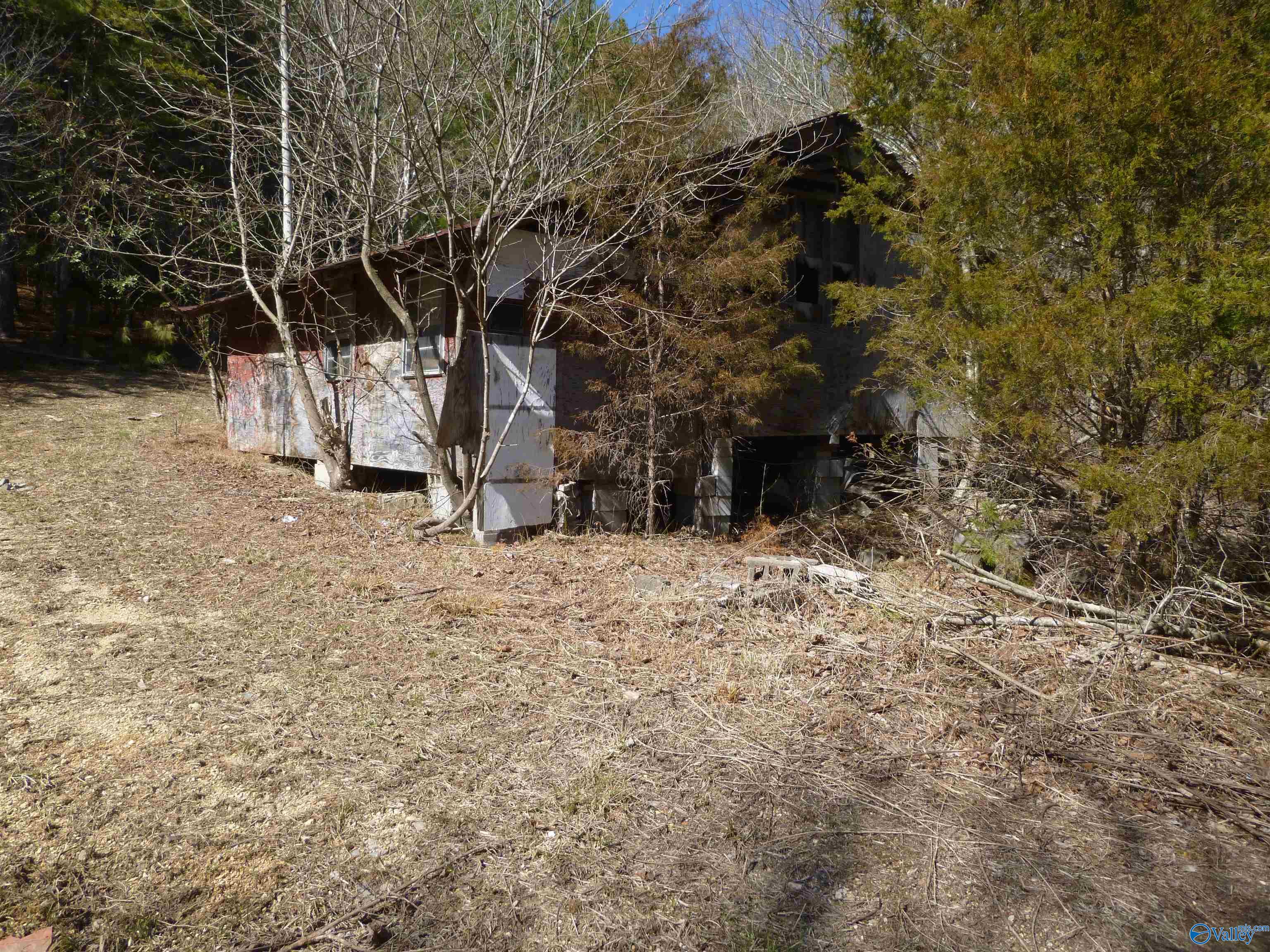 4995 County Road 239, Valley Head, Alabama image 8