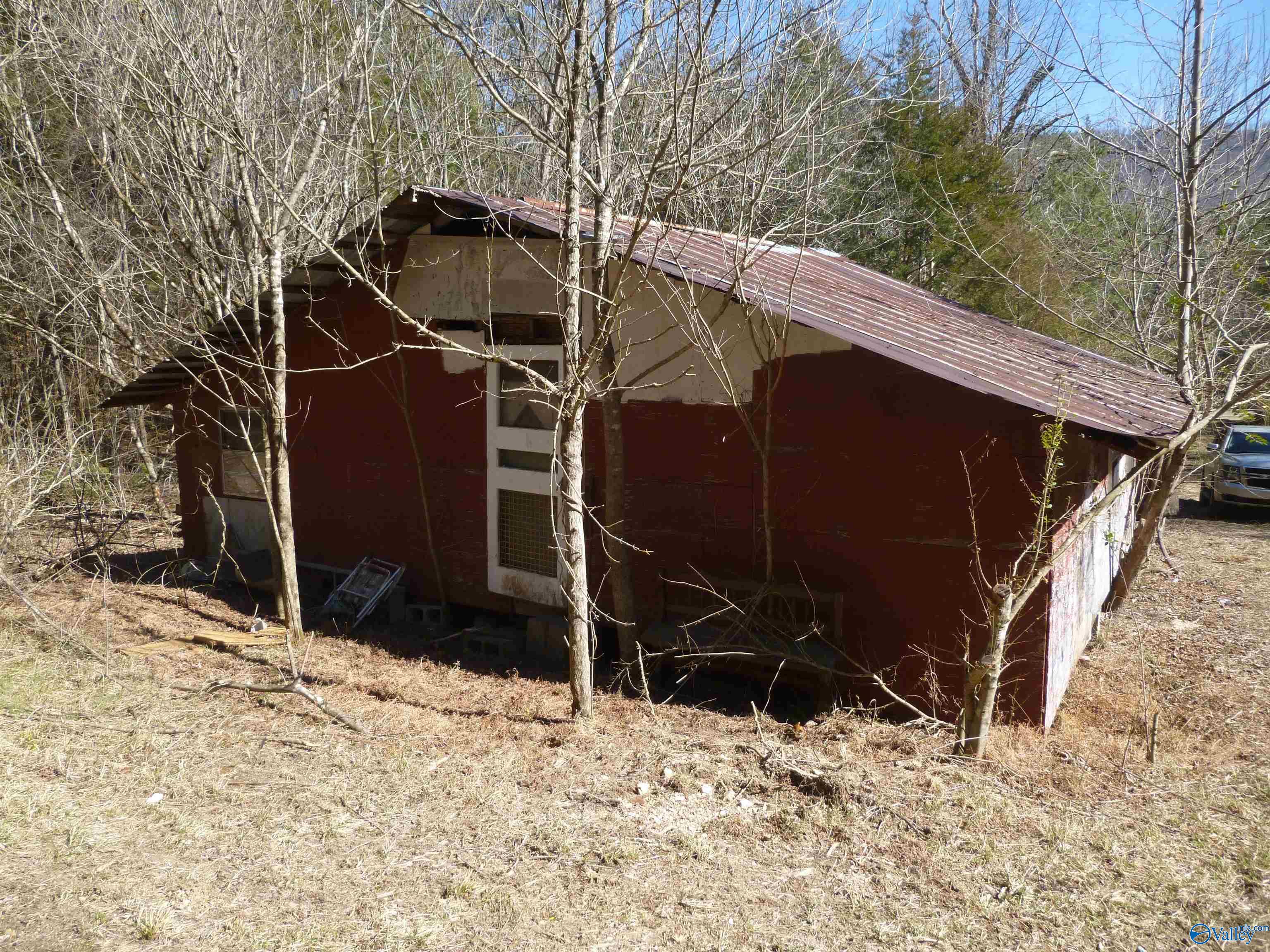 4995 County Road 239, Valley Head, Alabama image 11
