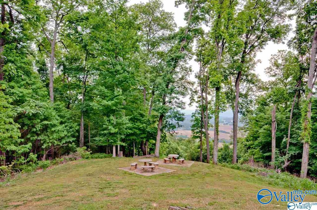 19 Taylors Brook Way, Gurley, Alabama image 47