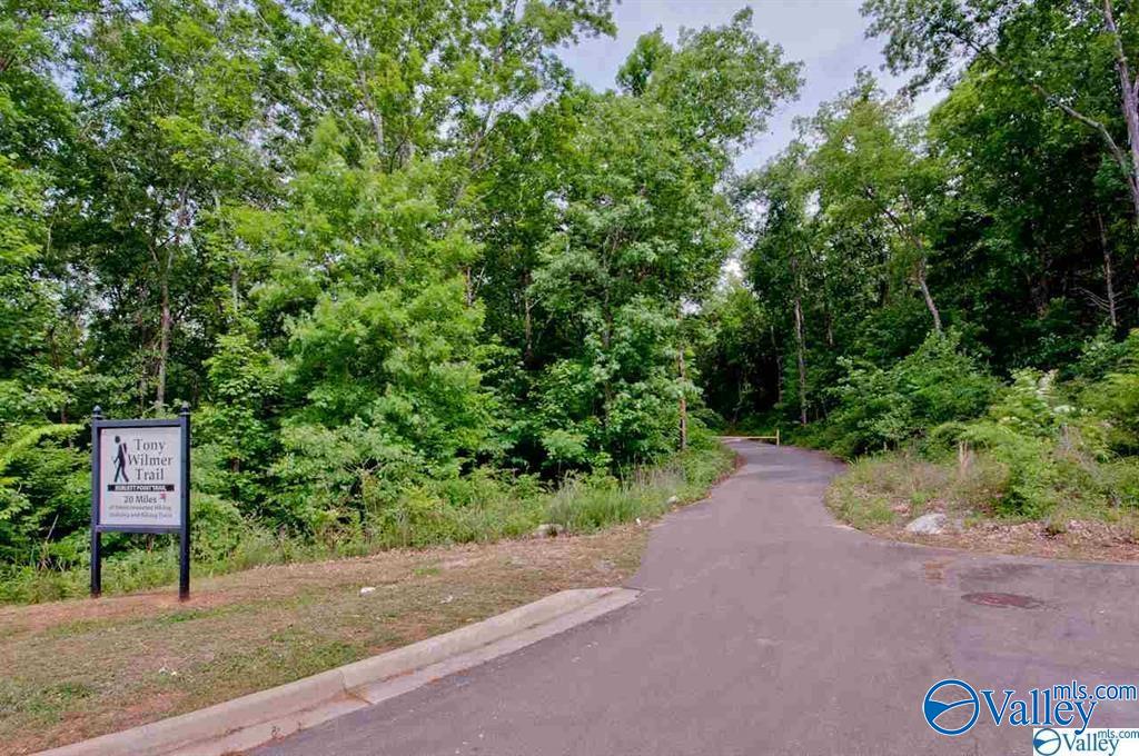 19 Taylors Brook Way, Gurley, Alabama image 43