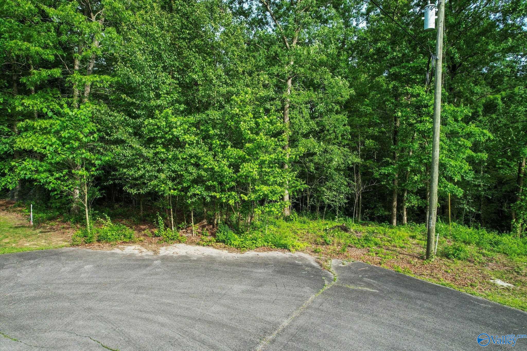Lots 16-18 Creekside Lane, Arab, Alabama image 15