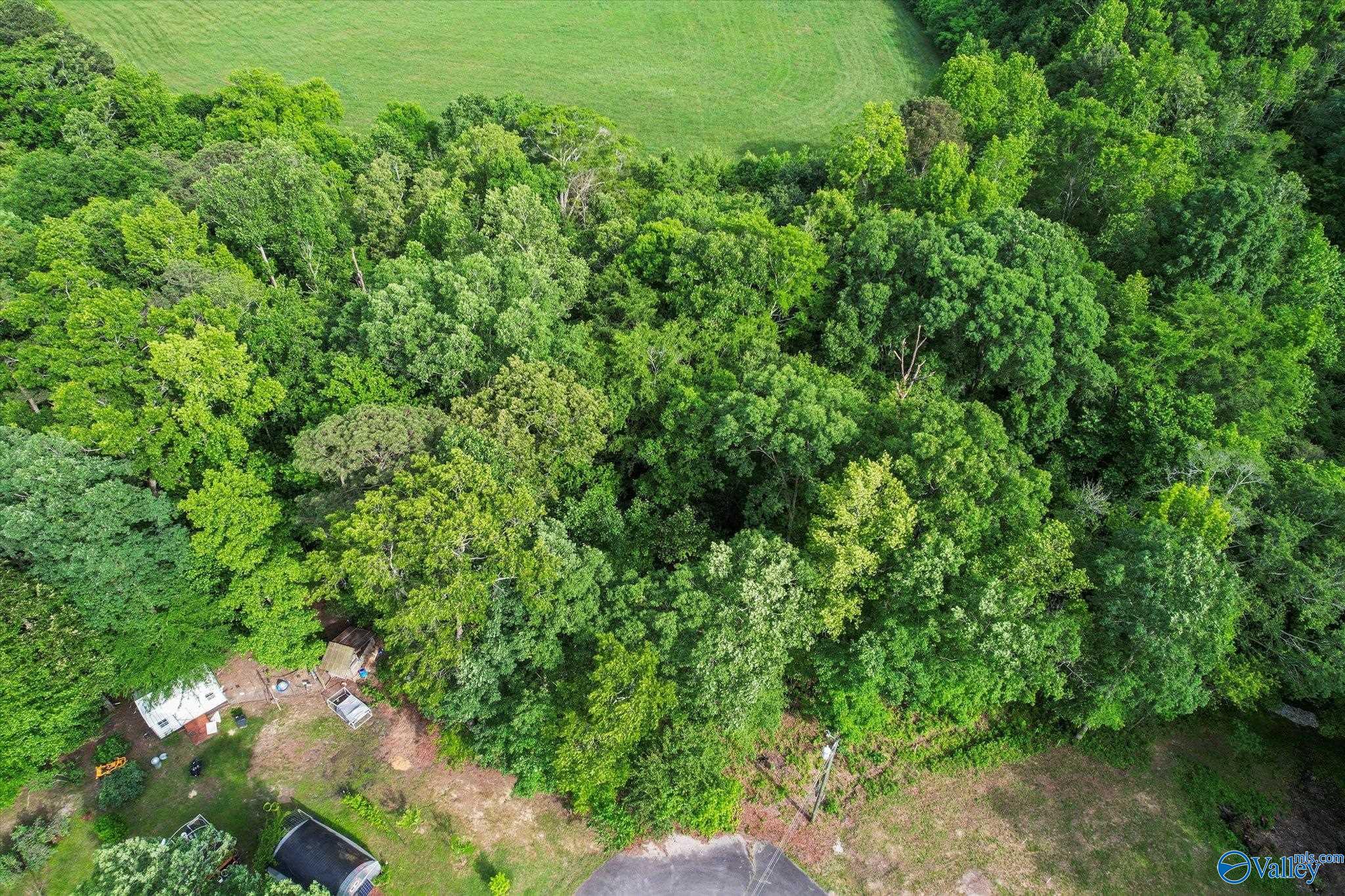 Lots 16-18 Creekside Lane, Arab, Alabama image 17