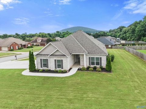 Photo of 116 Shallowhill Road, Huntsville, AL 35811 (MLS # 21919490)