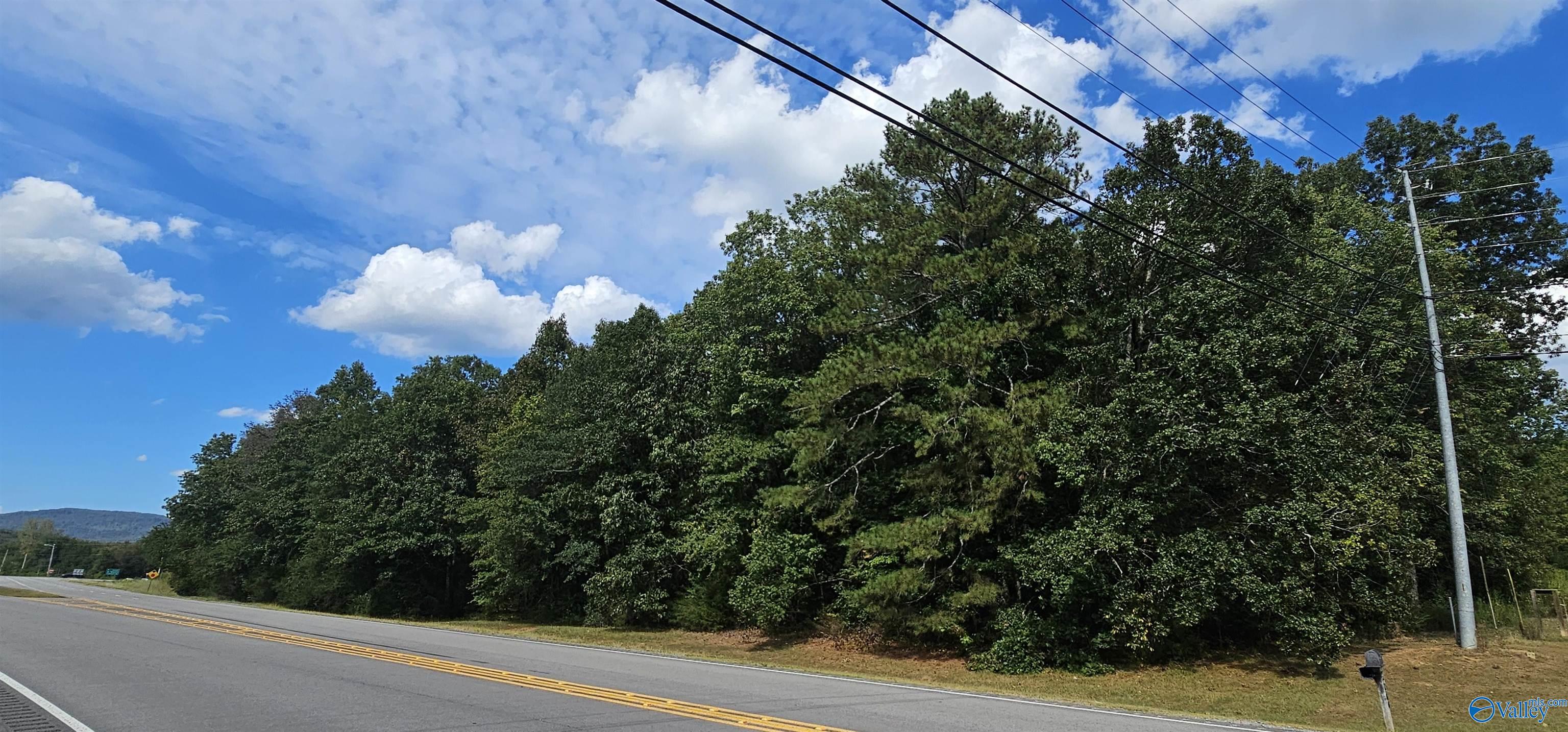 7.82 +/- ACRES N Alabama Highway 79, Scottsboro, Alabama image 3