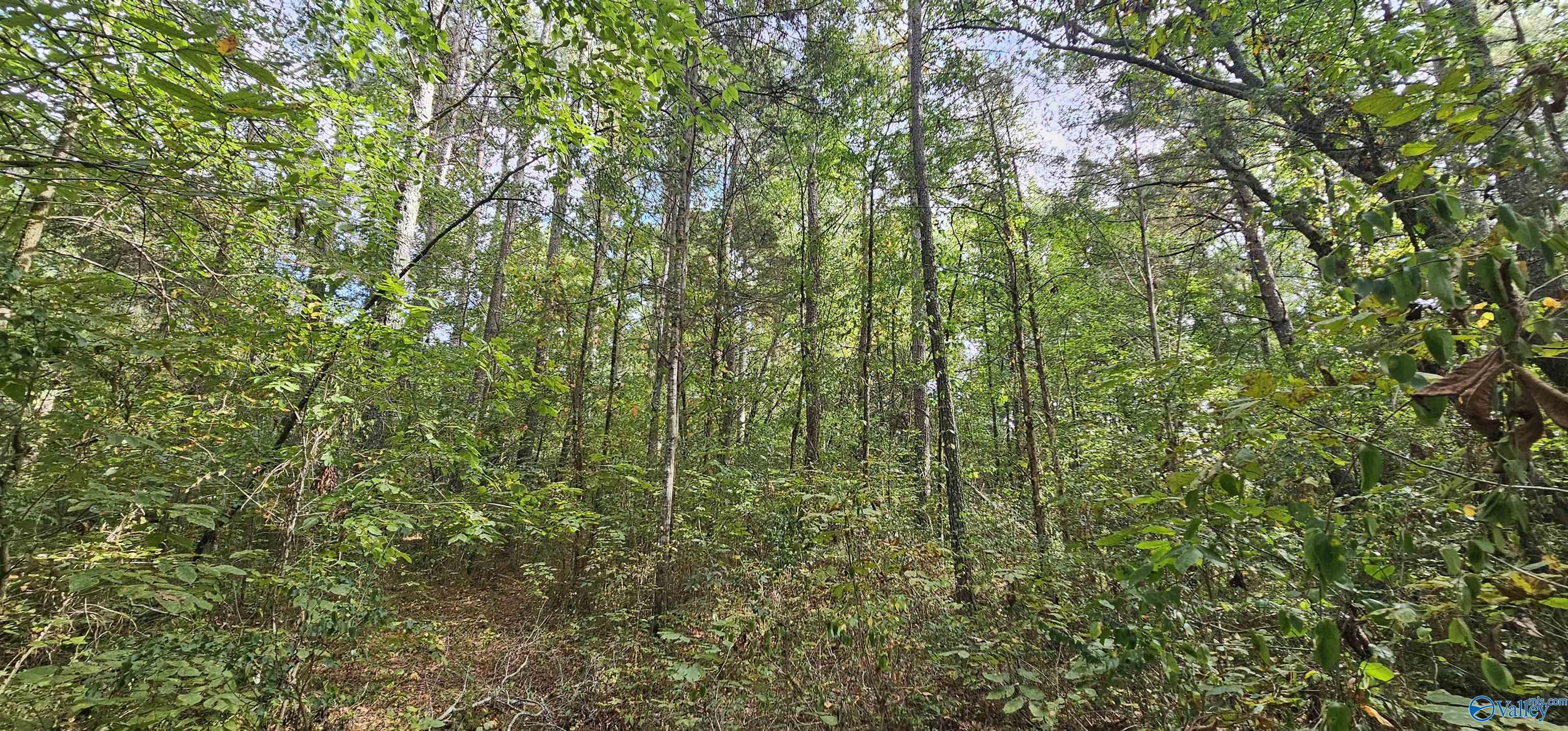 7.82 +/- ACRES N Alabama Highway 79, Scottsboro, Alabama image 42