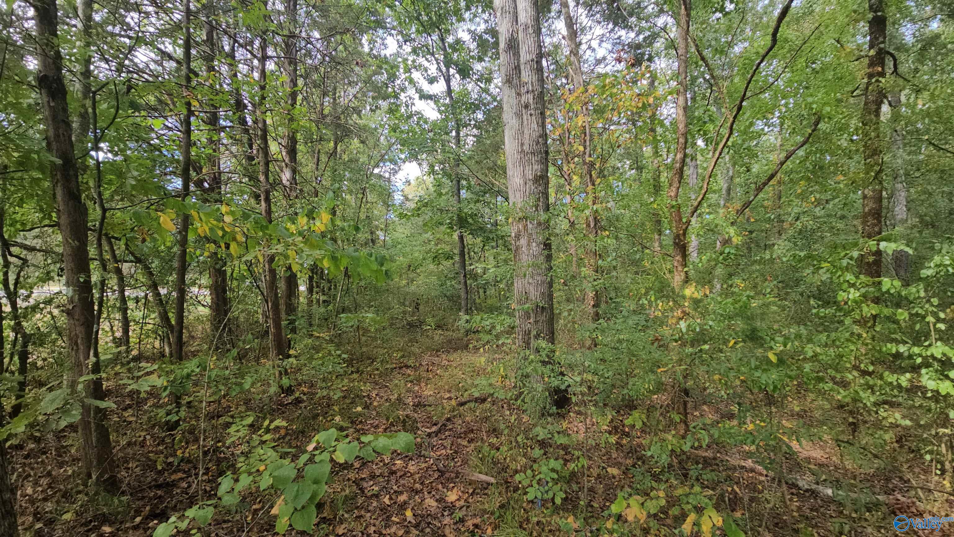 7.82 +/- ACRES N Alabama Highway 79, Scottsboro, Alabama image 8