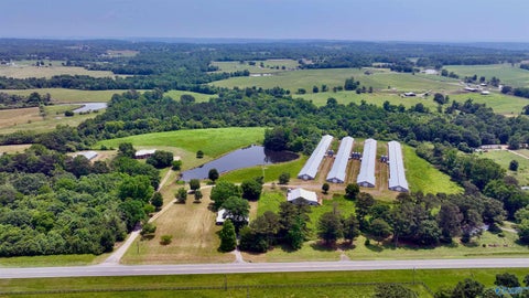 Vacant Land For Sale - 602 Highway 231<br/> Arab, AL 35016