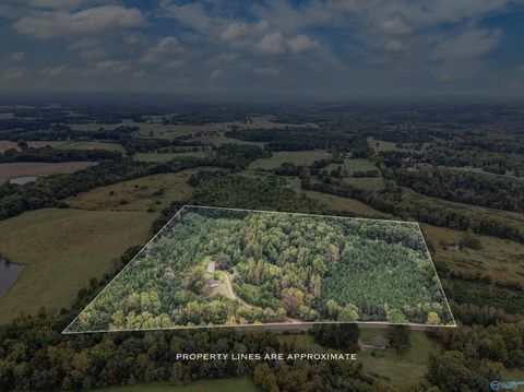 Homes For Sale - 8360 Hwy 207<br/> Anderson, AL 35610