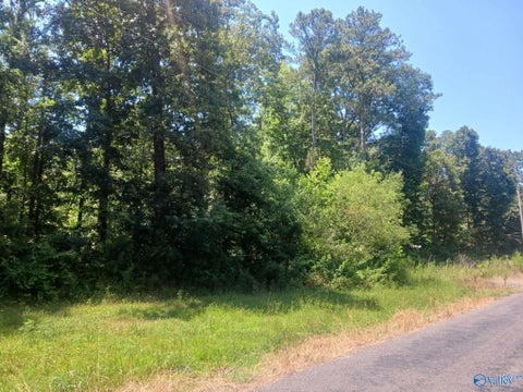 Vacant Land For Sale - 1.15 County Road 126<br/> Jackson County, Pisgah, AL 35765