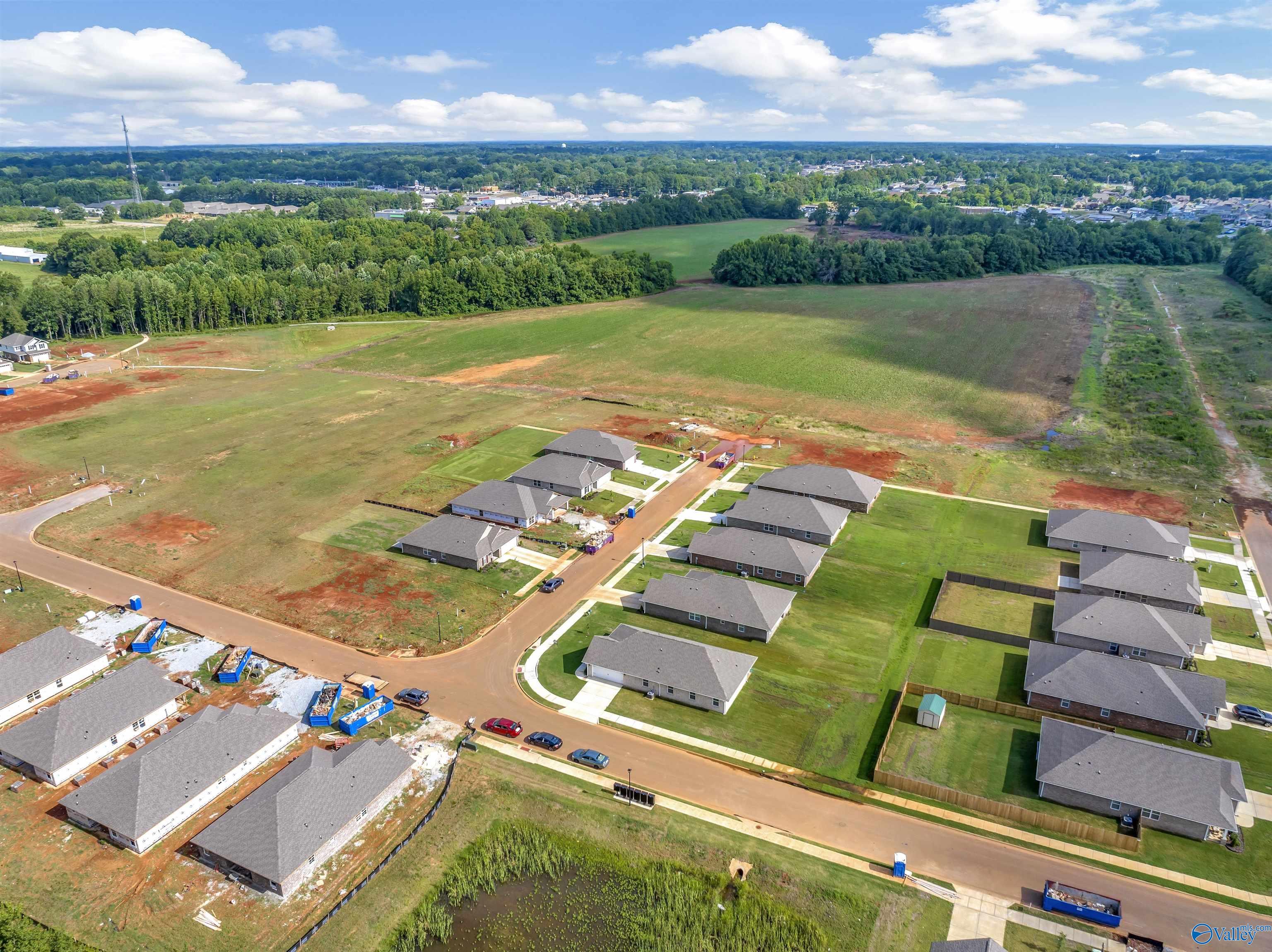 28823 Nature Trail Drive, Harvest, Alabama image 28