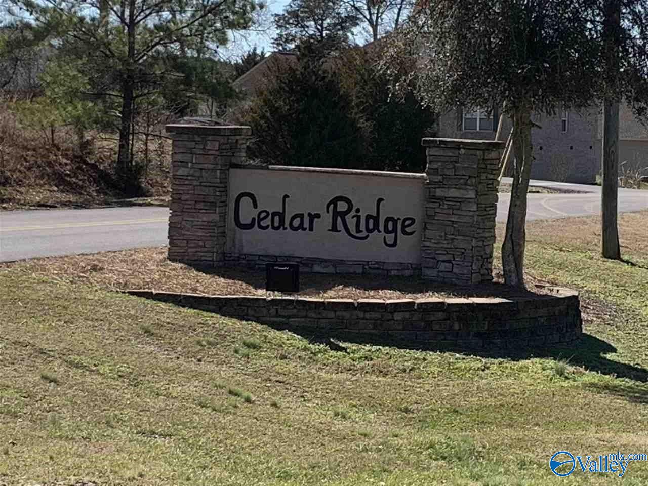 33 Cedar Ridge Circle, Hokes Bluff, Alabama image 1