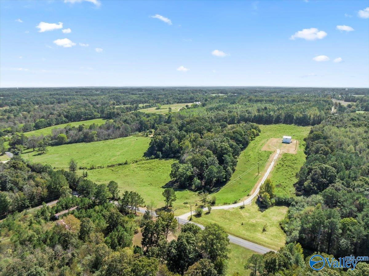 2403 Hog Jaw Road, Arab, Alabama image 1