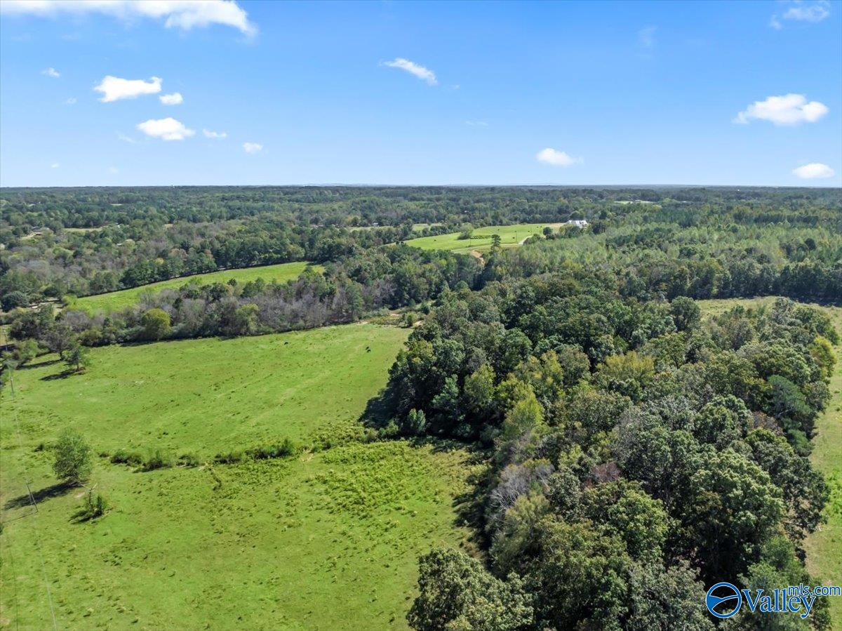 2403 Hog Jaw Road, Arab, Alabama image 30
