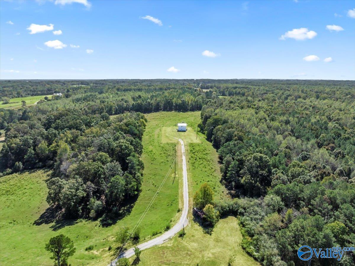 2403 Hog Jaw Road, Arab, Alabama image 24