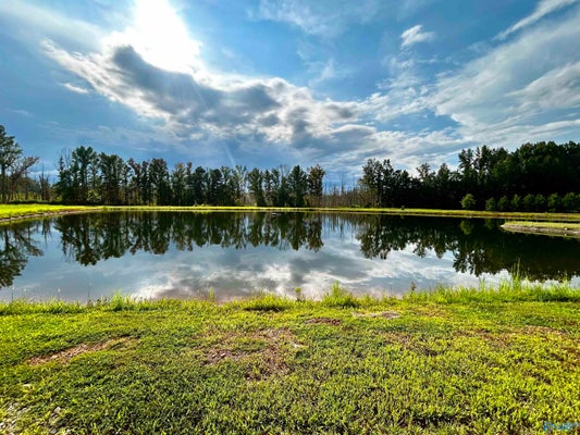 HAYS MILL RD, ELKMONT, AL 35620 - Image b9520c9644ed49a0b46e620dcbbaa01b/3949842258