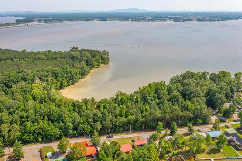 Vacant Land For Sale - EE Moneys Bend Road<br/> Cherokee County, Cedar Bluff, AL 35959