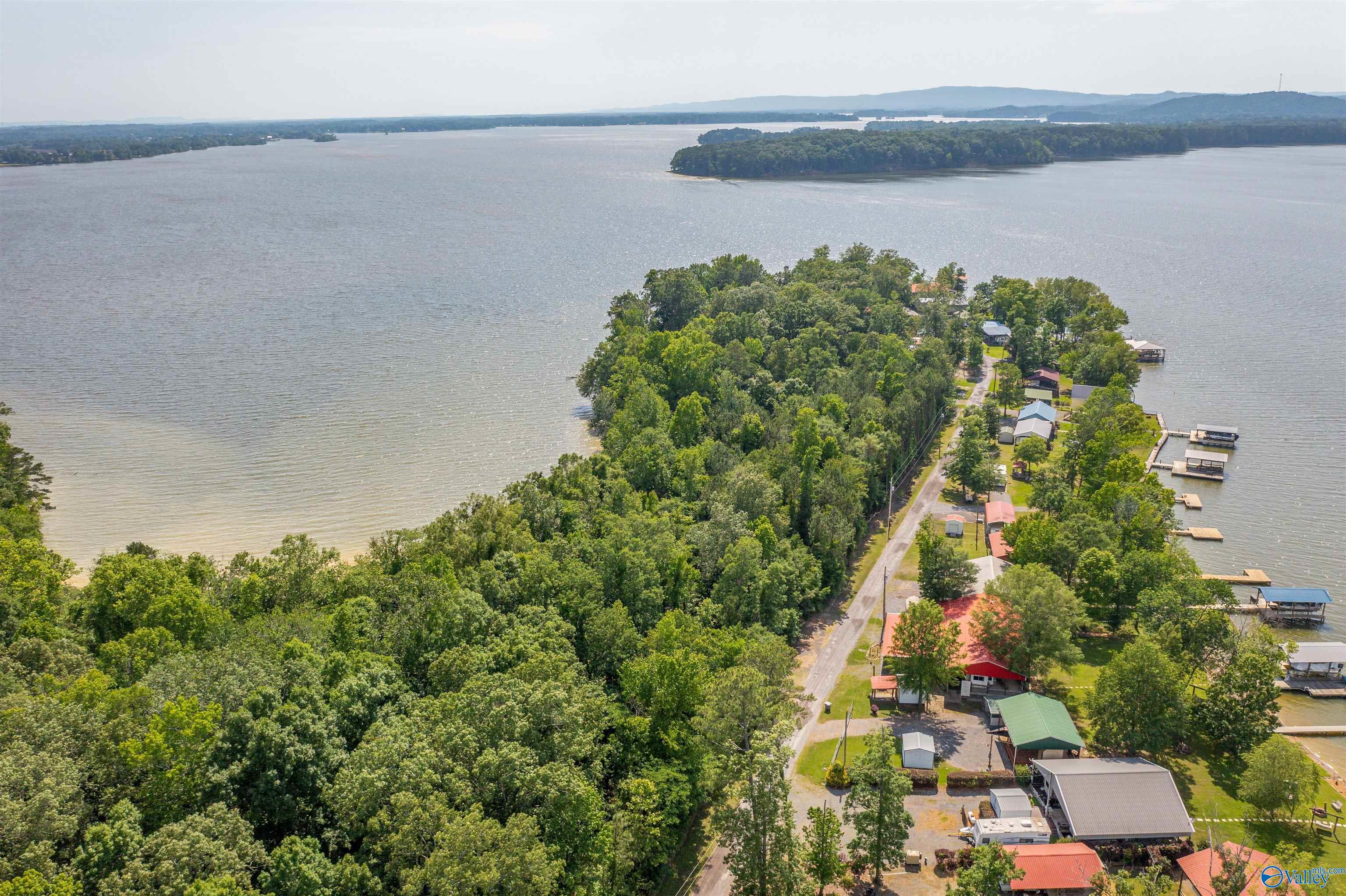 EE Moneys Bend Road, Cedar Bluff, Alabama image 8