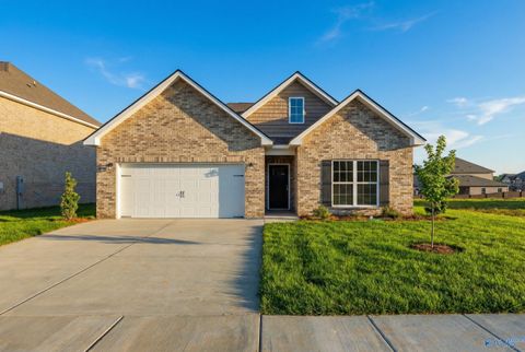 Homes For Sale - 142 Rose Valley Drive<br/> New Market, AL 35761
