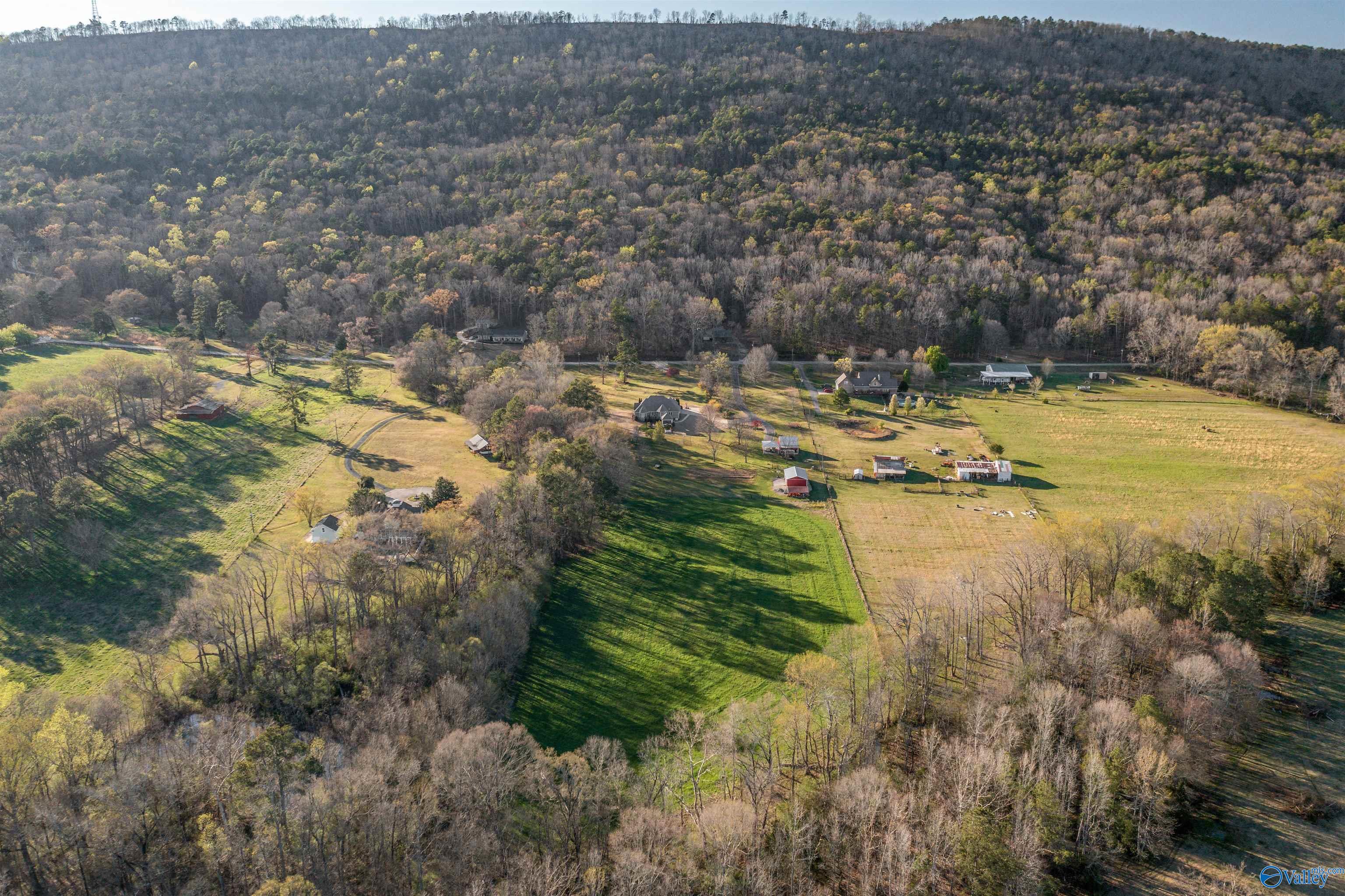 3602 Beason Cove Road, Steele, Alabama image 18