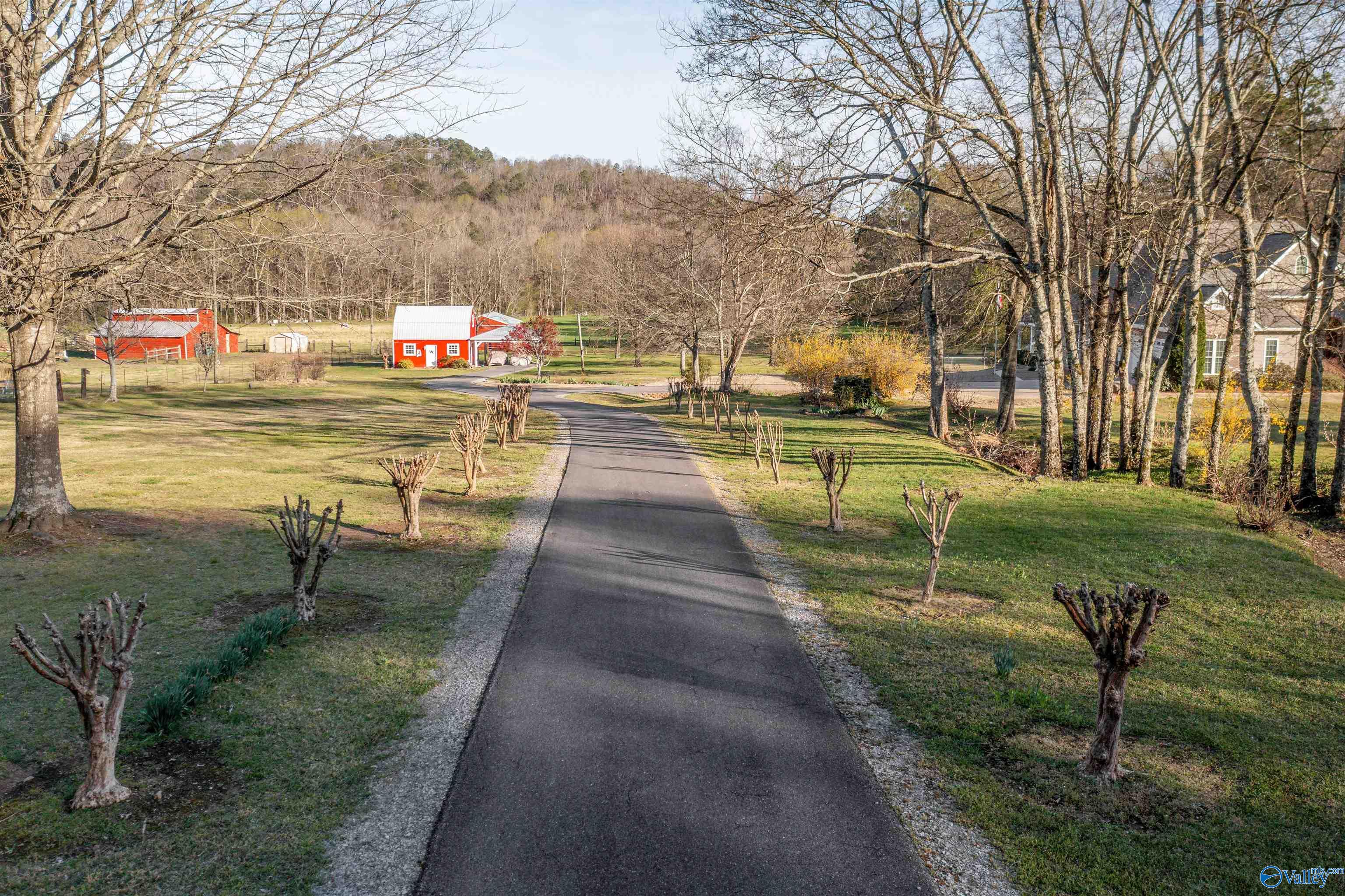 3602 Beason Cove Road, Steele, Alabama image 19