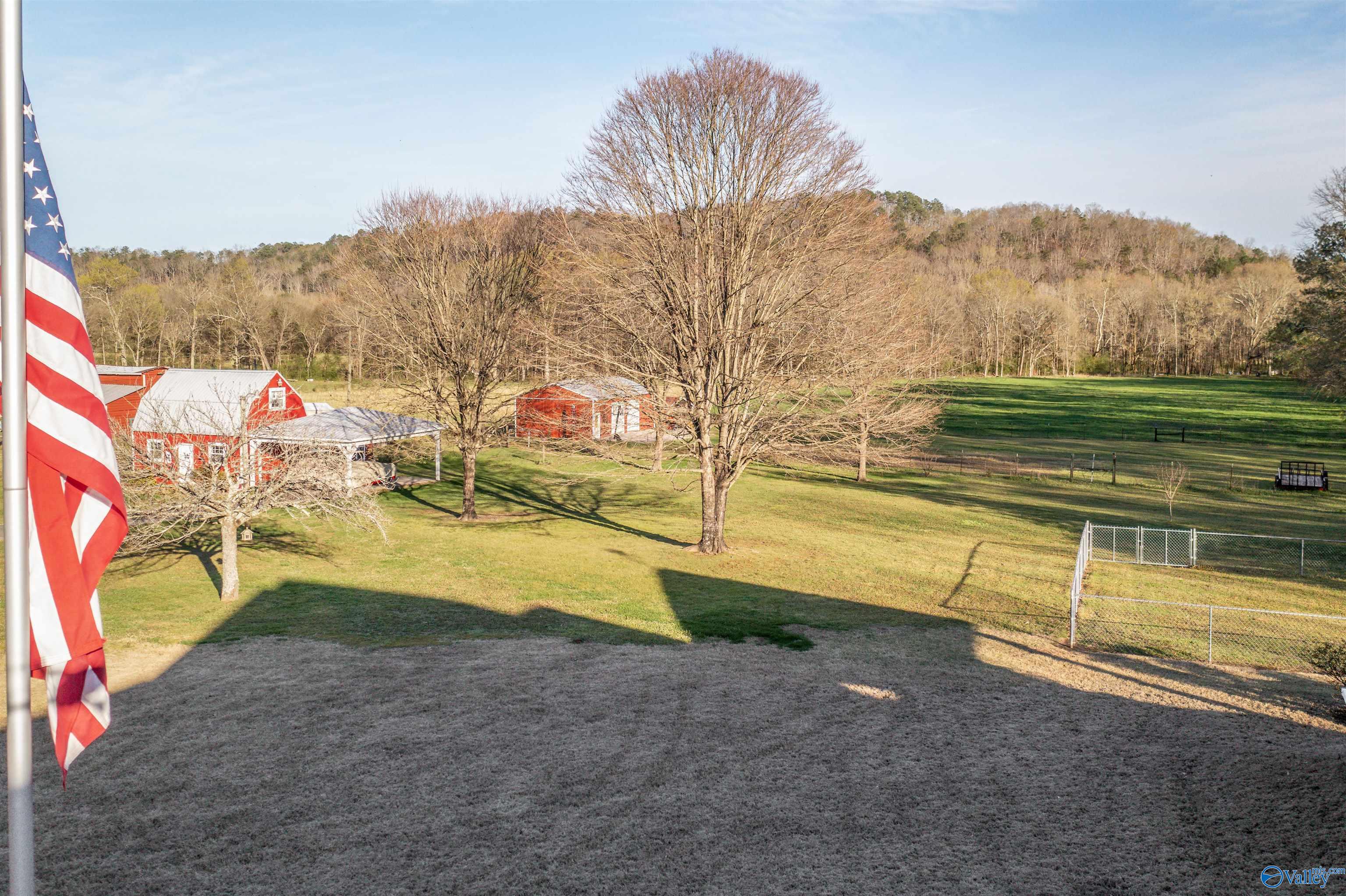 3602 Beason Cove Road, Steele, Alabama image 23