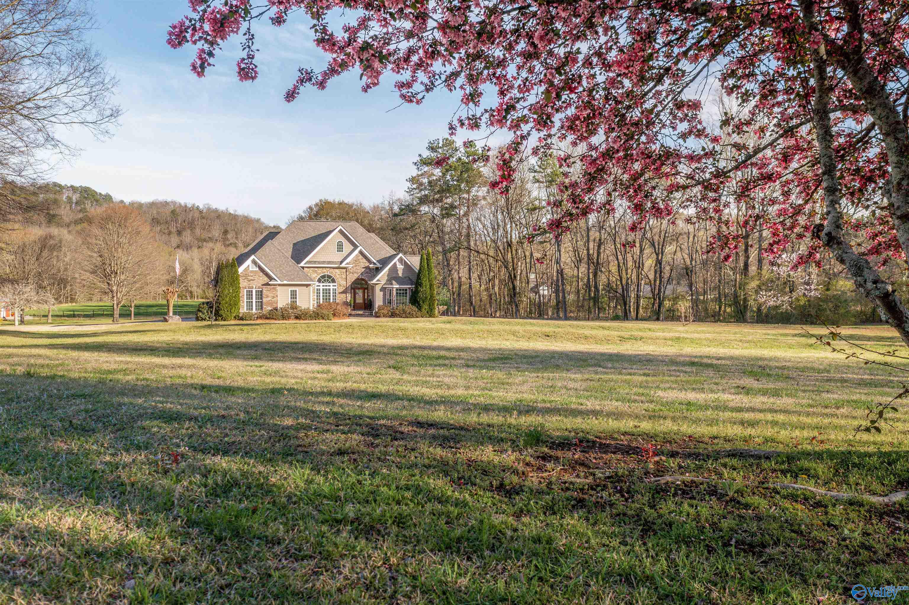 3602 Beason Cove Road, Steele, Alabama image 22