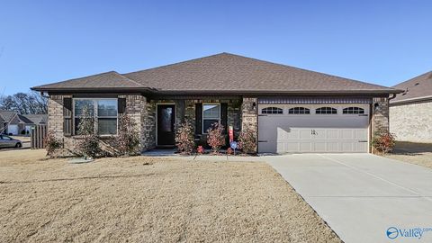 Homes For Sale - 100 Ocean Springs Avenue<br/> Toney, AL 35773