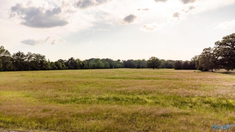 Vacant Land For Sale - 2772 SW Marsh Road<br/> Limestone County, Madison, AL 35756