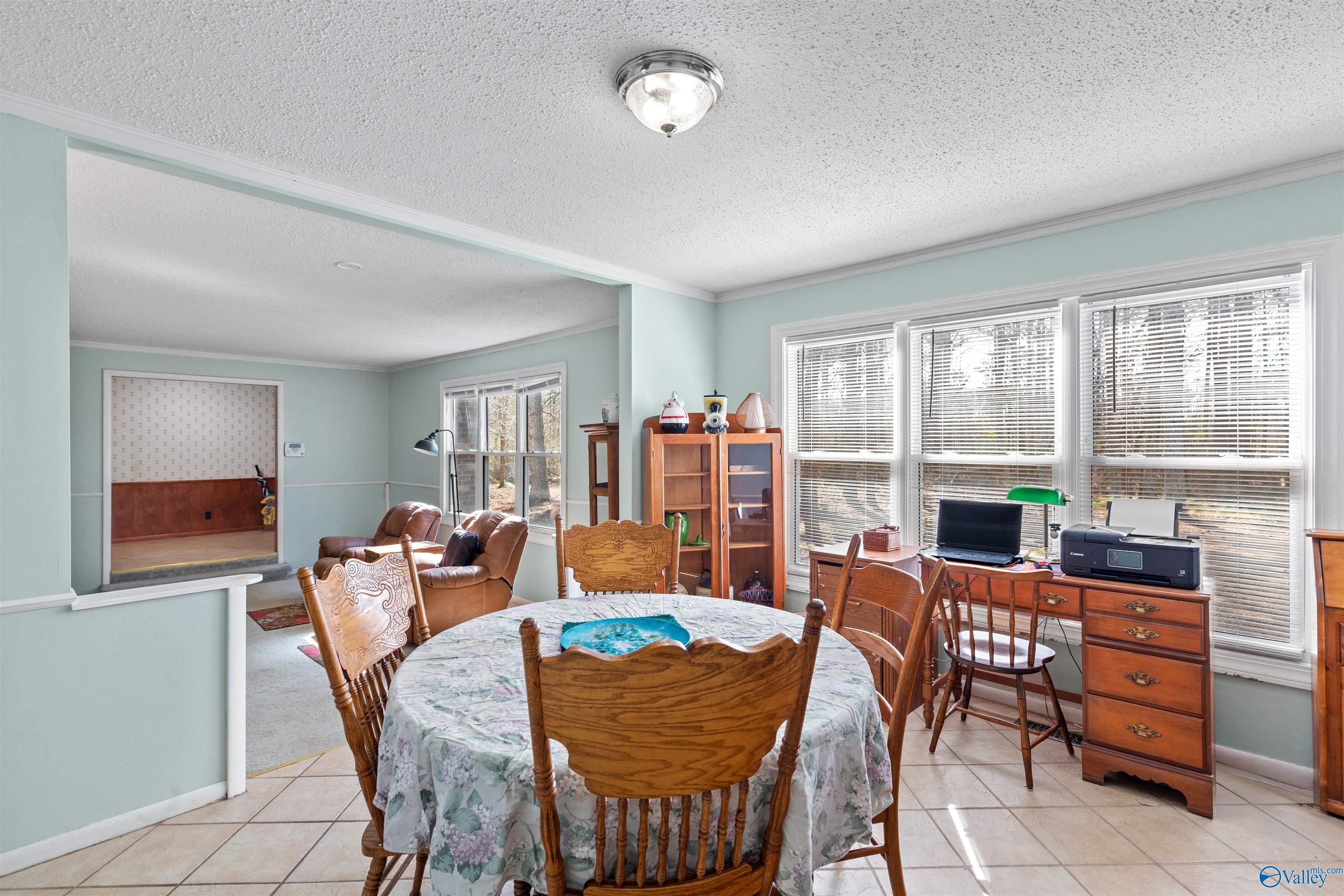 3606 Bethsaida Road, Boaz, Alabama image 8
