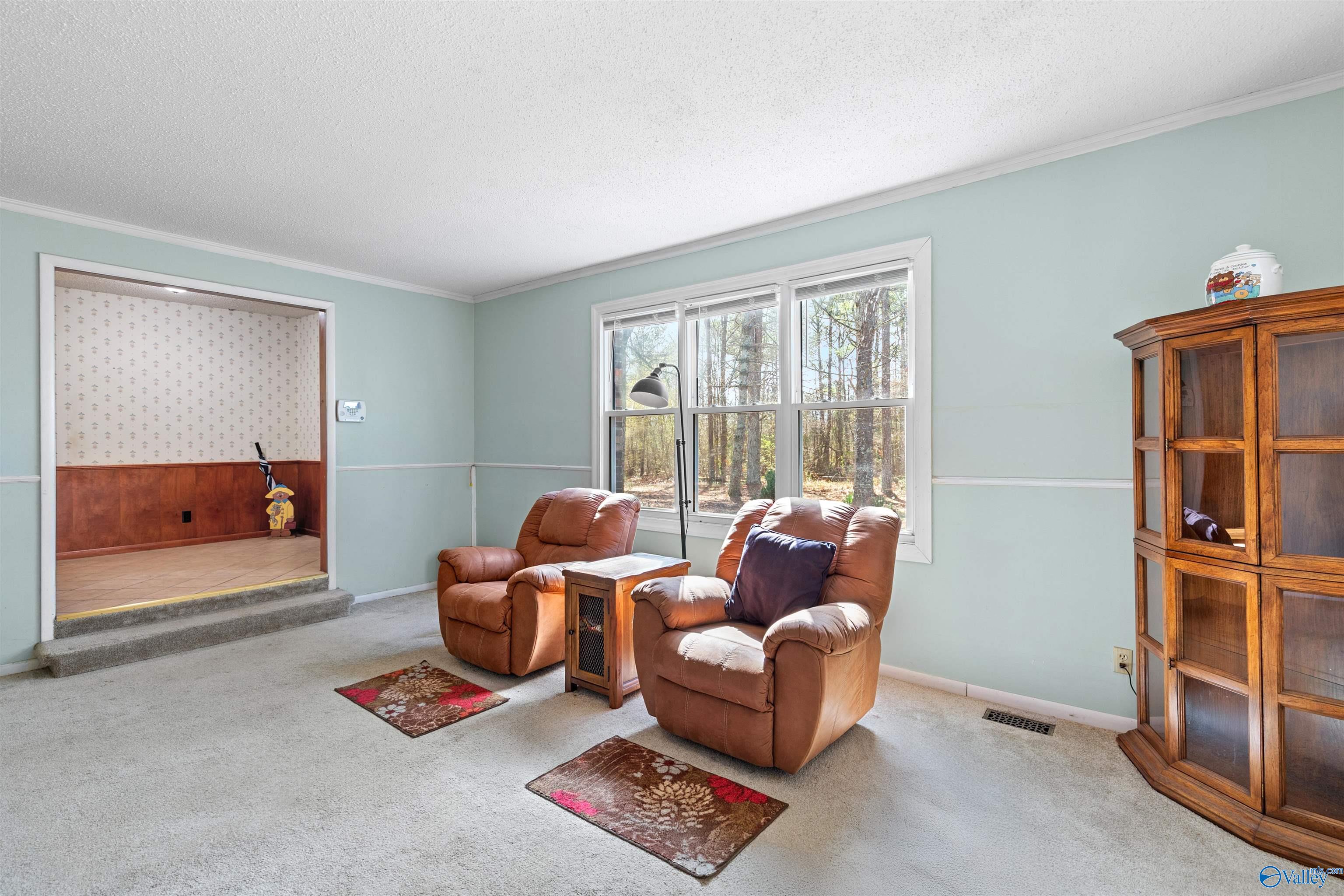 3606 Bethsaida Road, Boaz, Alabama image 7