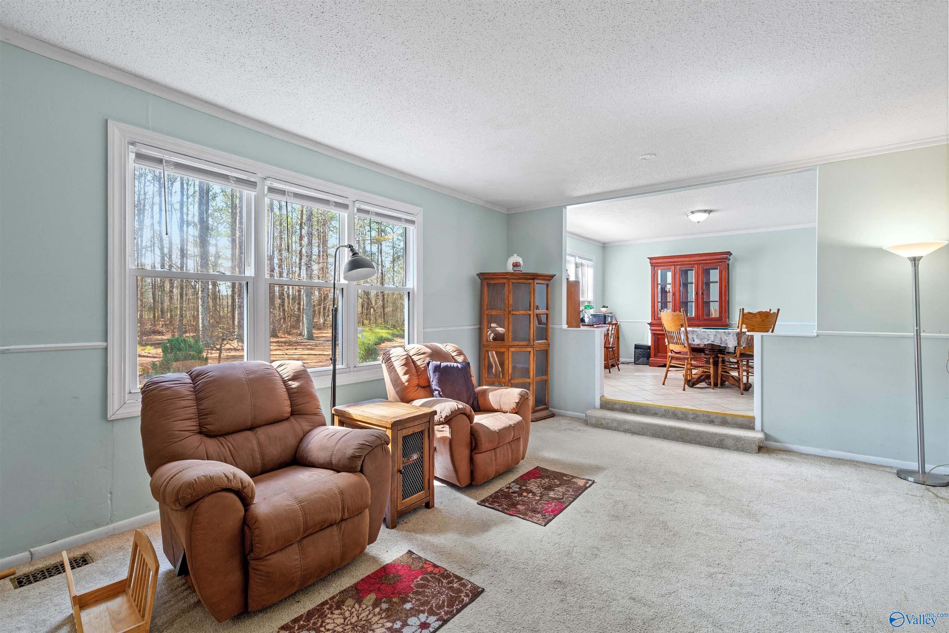 3606 Bethsaida Road, Boaz, Alabama image 6