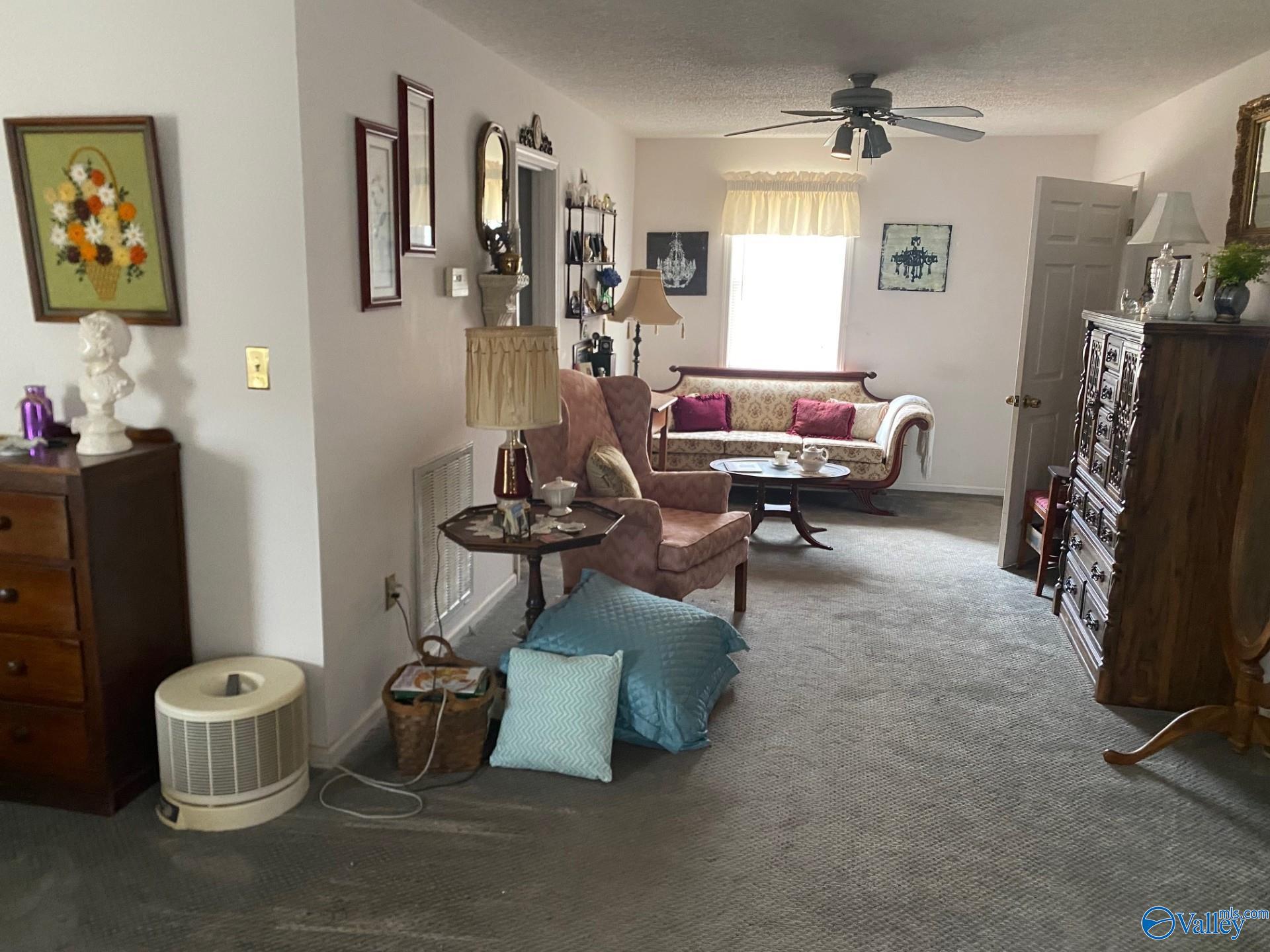 2300 Mount Carmel Drive, Guntersville, Alabama image 8