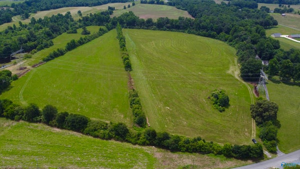 62 JOLLEY LN, ALBERTVILLE, AL 35950 - Image b9c4b6385eda558b823839eec1aa3c26/826457895