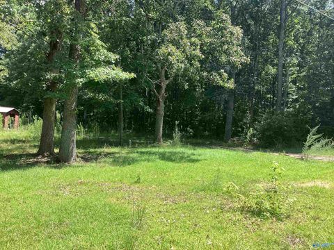 Vacant Land For Sale - 13 ACRES Gray Road<br/> Gadsden, AL 35903