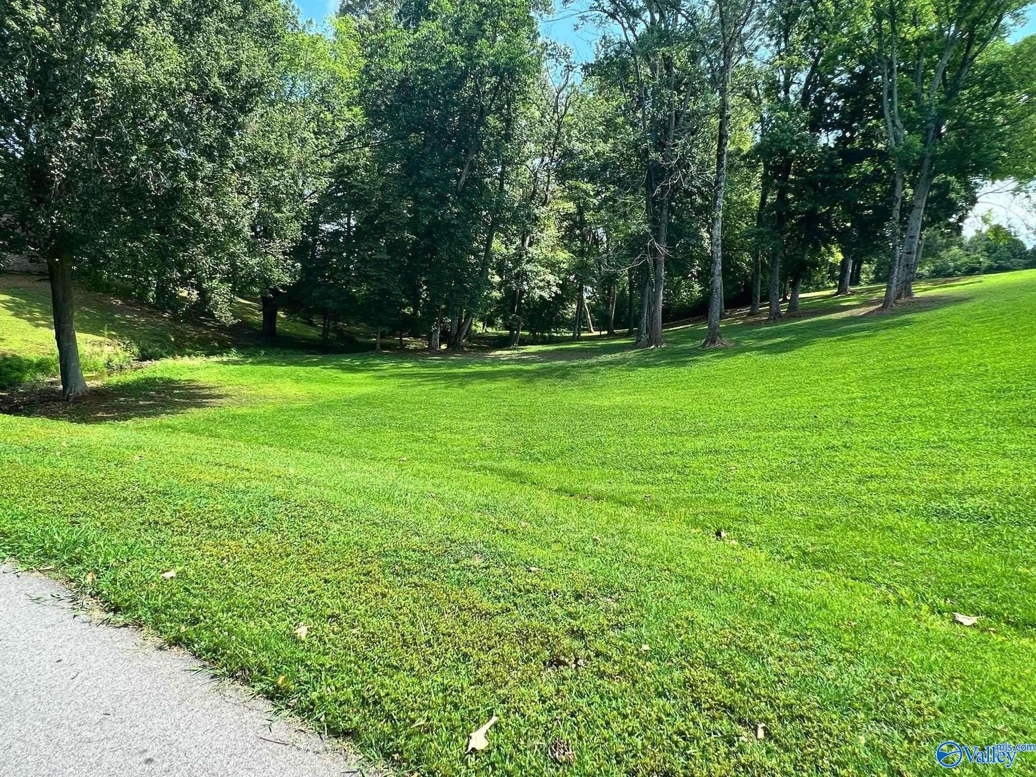 LOT 90 Saint Andrews Drive, Athens, Alabama image 4