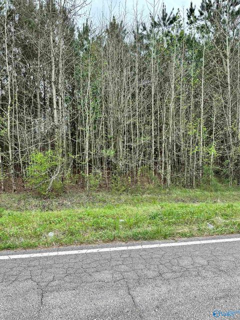 Vacant Land For Sale - LOT 10 West Limestone School Road<br/> Lester, AL 35647