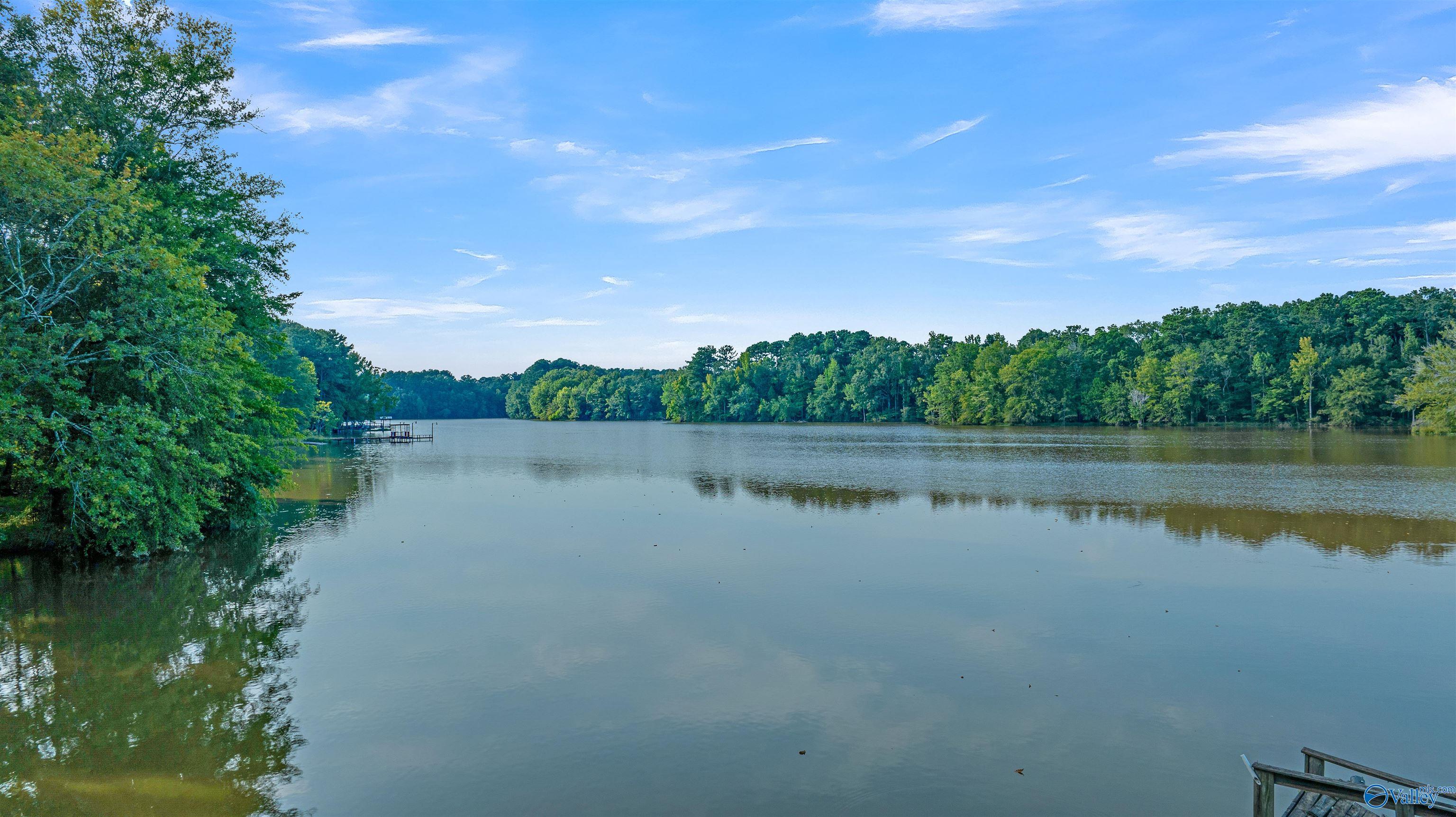 17207 County Road 22, Centre, Alabama image 4