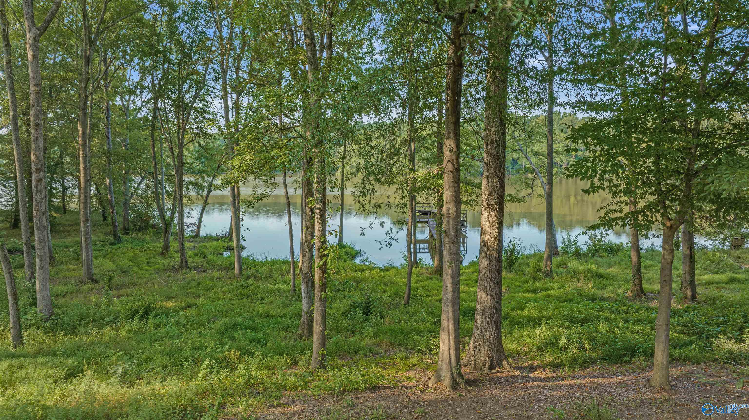 17207 County Road 22, Centre, Alabama image 3
