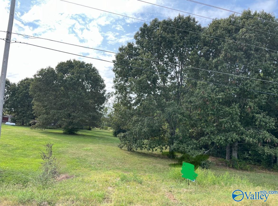 1.31 Acres Pulaski Pike, Toney, Alabama image 1