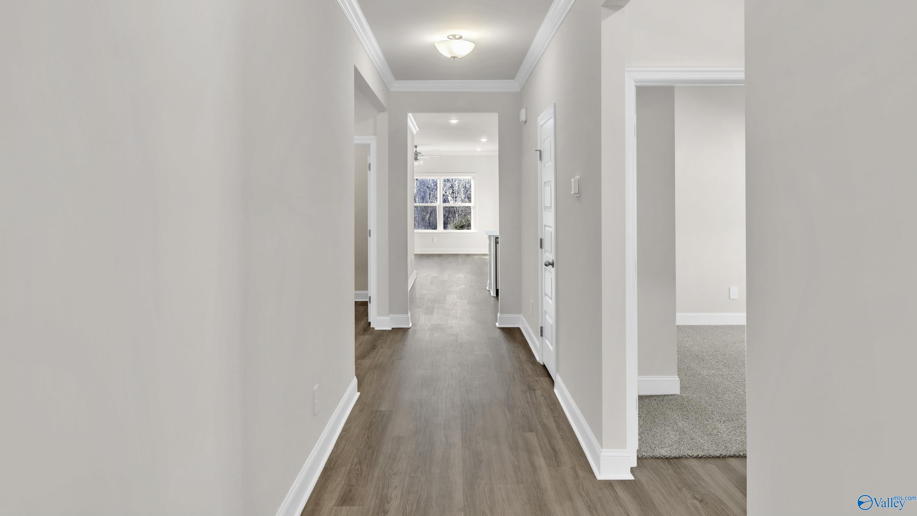 206 Crane Hollow Lane