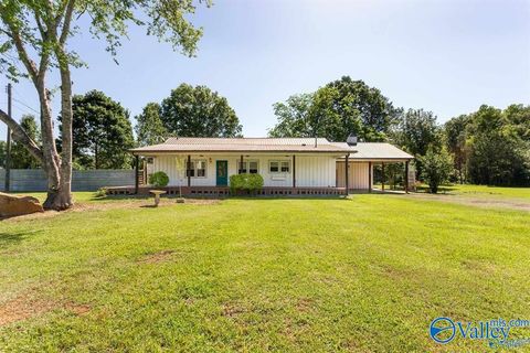 Photo of 1133 Canoe Creek Road, Rainbow City, AL 35906 (MLS # 21906195)