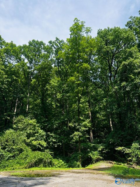 Vacant Land For Sale - 400 Northwoods Trail<br/> Gadsden, AL 35901