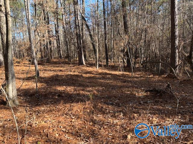 Lot 33 Odonnell Road, Ashville, Alabama image 6