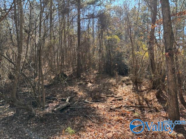 Lot 33 Odonnell Road, Ashville, Alabama image 4