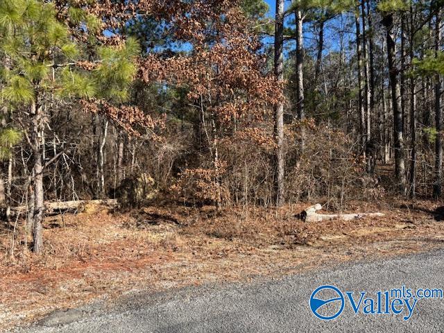 Lot 33 Odonnell Road, Ashville, Alabama image 1