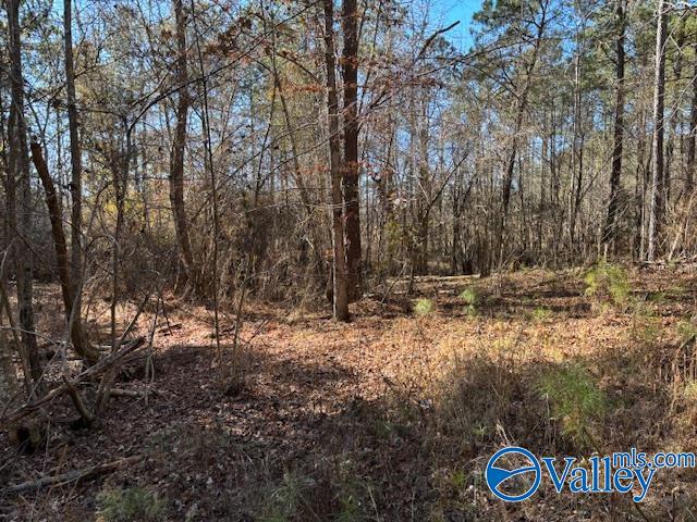 Lot 33 Odonnell Road, Ashville, Alabama image 5