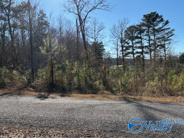 Lot 33 Odonnell Road, Ashville, Alabama image 7