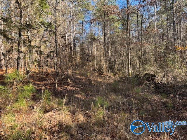 Lot 33 Odonnell Road, Ashville, Alabama image 2